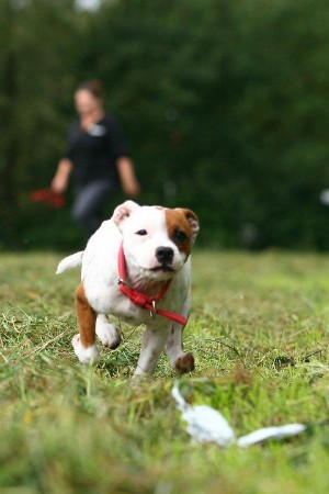 Noa lure racing Noa lure racing